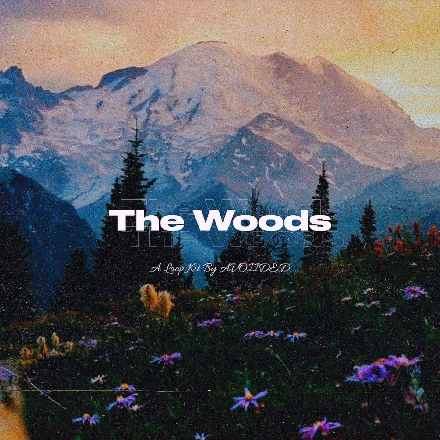 The Woods - R&B Loop Kit