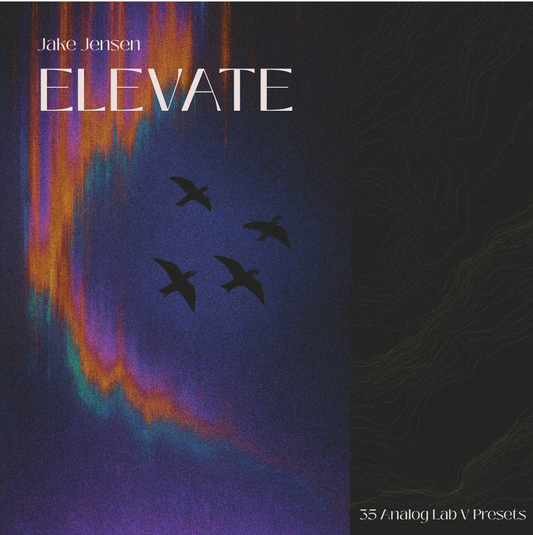 Elevate - Analog Lab Bank